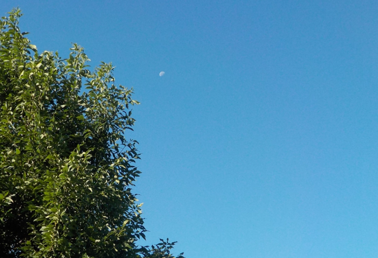 Moon in the morning