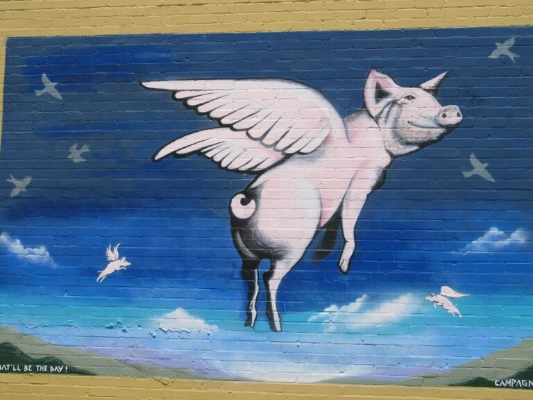 Flying pig