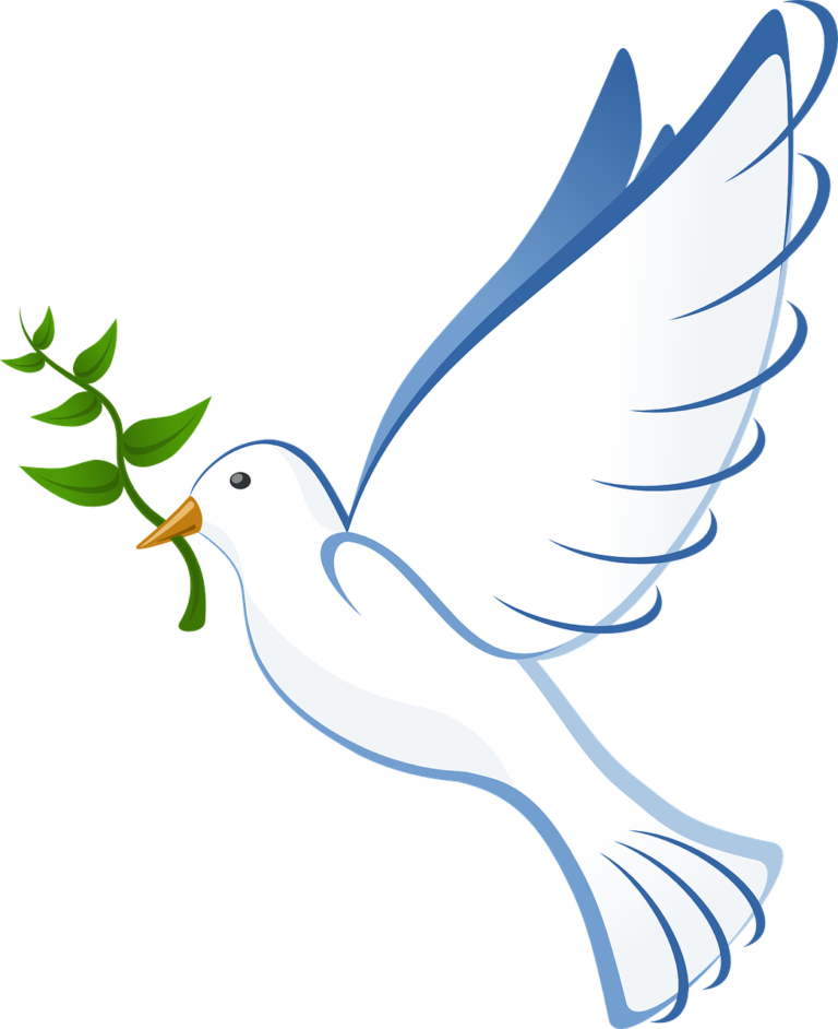 Dove with olive branch