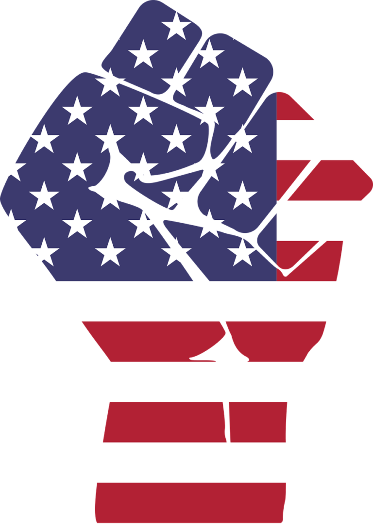 fist overlayed with flag