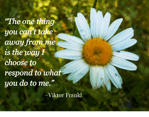 Viktor Frankl quote with daisy